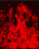 anim176220mobildesign.atw.hu_0032.gif